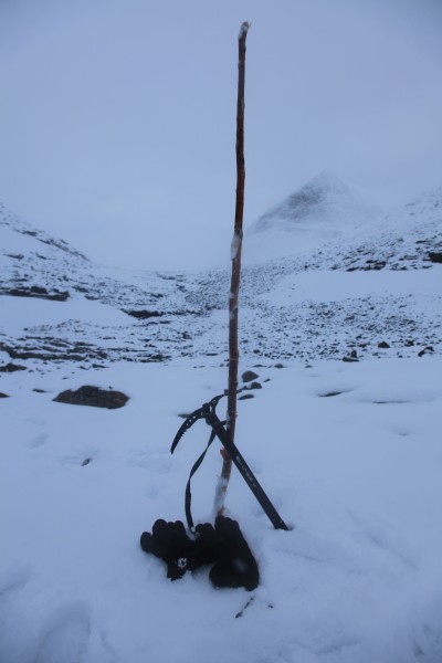 A particularly exciting day