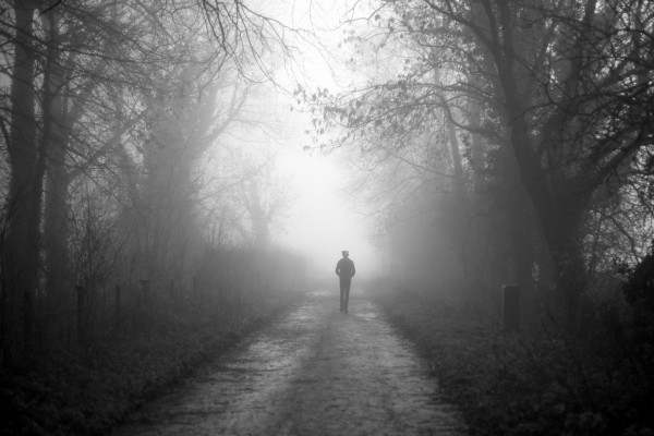 A misty boxing day walk, Winchester, UK