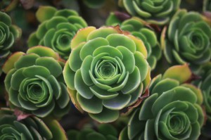 Tim's Core Values (v0.00001) – Request For Comments