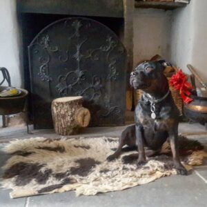 The best thing about lockdown living arrangements